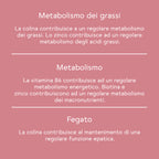 Bitter Boost per il metabolismo* - Pacco mensile (90 Capsule)