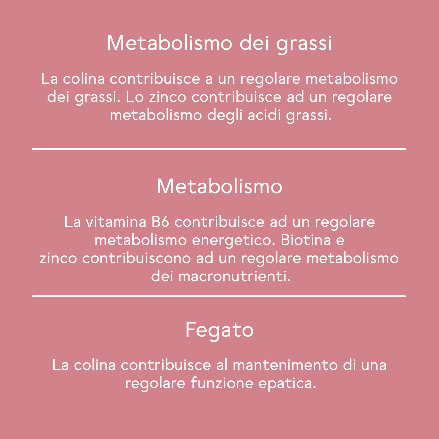 Bitter Boost per il metabolismo* - Pacco mensile (90 Capsule)