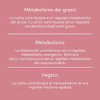 BitterLiebe Pacco linea corpo esterno e interno