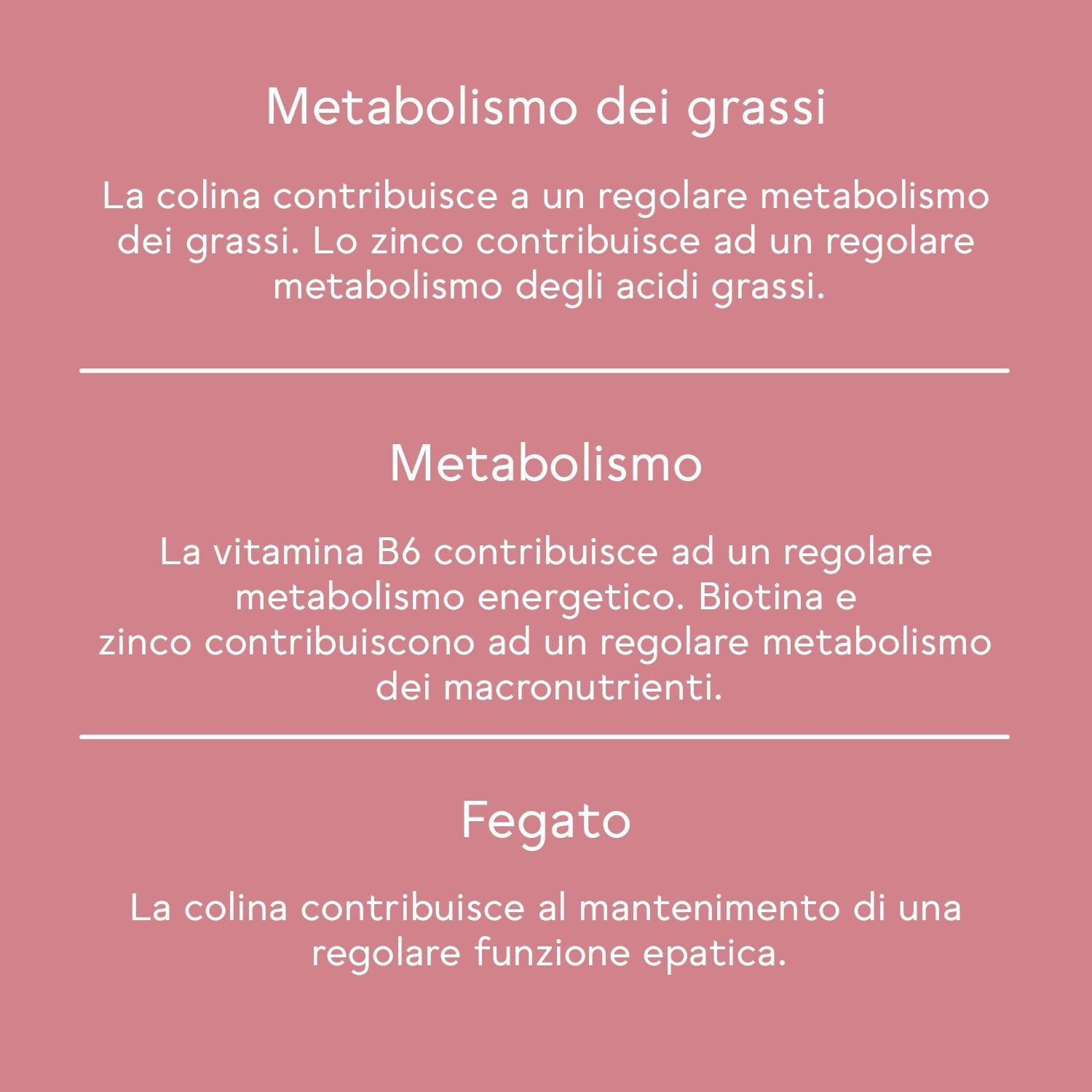 BitterLiebe Pacco linea corpo esterno e interno