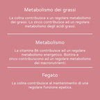 Bitter Boost per il metabolismo* - pacco da 3 mesi (270 pz.)